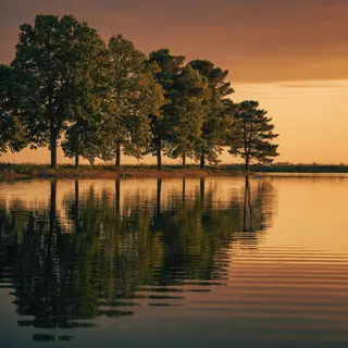 A row of trees reflected in a calm lake at sunset, with the 