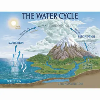 A detailed diagram of the water cycle showing evaporation fr