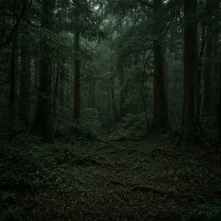 A forest scene where the foliage is precisely #2D5F2D (dark 