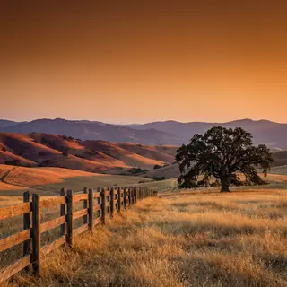 A landscape photograph bathed in golden hour light — long wa