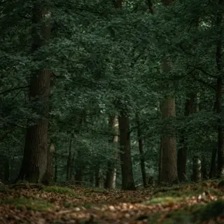 A forest scene where the foliage is precisely #2D5F2D (dark 