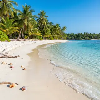 A tropical beach scene with no people