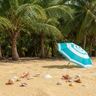 A sandy beach with palm trees, seashells, and a beach umbrel