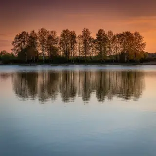 A row of trees reflected in a calm lake at sunset, with the 