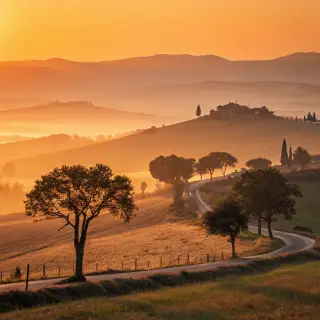 A landscape photograph bathed in golden hour light — long wa