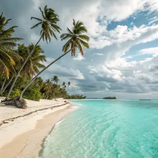 A tropical beach scene with no people