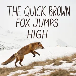 The sentence 'The quick brown fox jumps high' in clean black