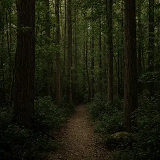A forest scene where the foliage is precisely #2D5F2D (dark 