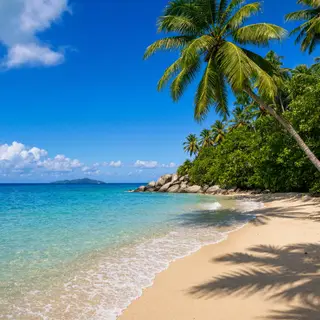 A tropical beach scene with no people