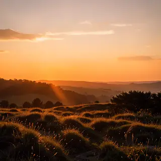 A landscape photograph bathed in golden hour light — long wa