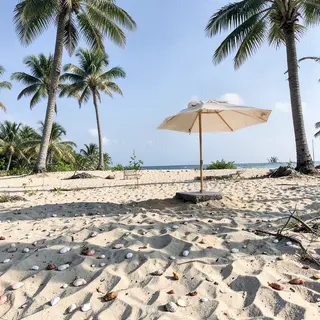 A sandy beach with palm trees, seashells, and a beach umbrel