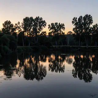 A row of trees reflected in a calm lake at sunset, with the 