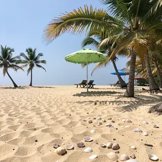 A sandy beach with palm trees, seashells, and a beach umbrel