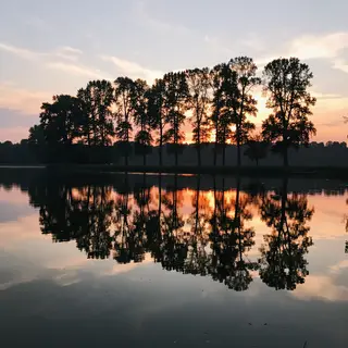 A row of trees reflected in a calm lake at sunset, with the 