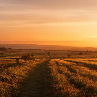 A landscape photograph bathed in golden hour light — long wa