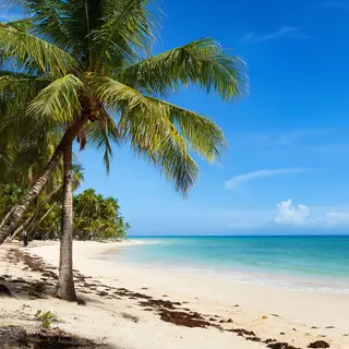 A tropical beach scene with no people