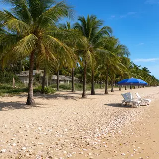 A sandy beach with palm trees, seashells, and a beach umbrel