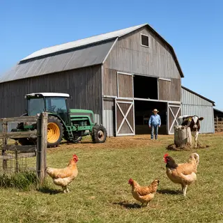 A farm scene with a barn, tractor, farmer, cow, chicken, and