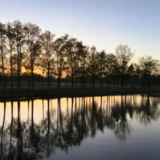 A row of trees reflected in a calm lake at sunset, with the 