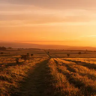 A landscape photograph bathed in golden hour light — long wa