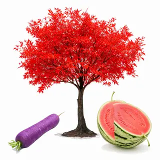 A purple carrot, a red tree with red leaves, and a white wat