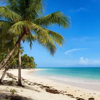 A tropical beach scene with no people