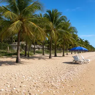 A sandy beach with palm trees, seashells, and a beach umbrel