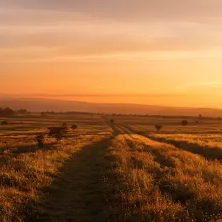 A landscape photograph bathed in golden hour light — long wa