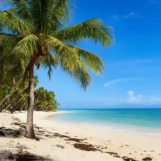 A tropical beach scene with no people
