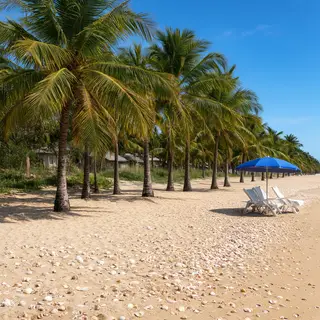 A sandy beach with palm trees, seashells, and a beach umbrel