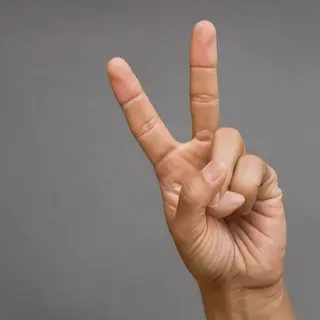 A person making a peace sign with their right hand, clearly 