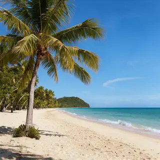 A tropical beach scene with no people