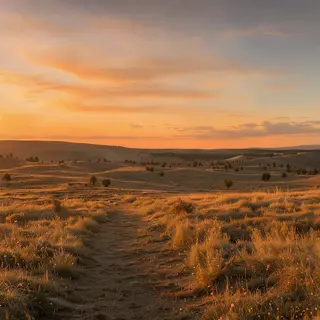 A landscape photograph bathed in golden hour light — long wa