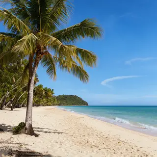 A tropical beach scene with no people