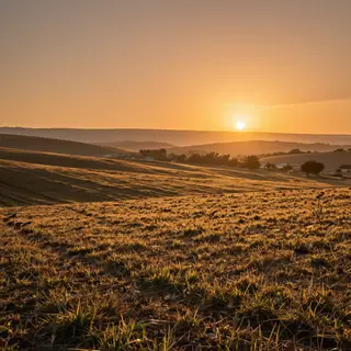 A landscape photograph bathed in golden hour light — long wa