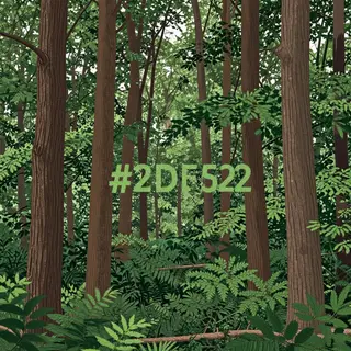 A forest scene where the foliage is precisely #2D5F2D (dark 