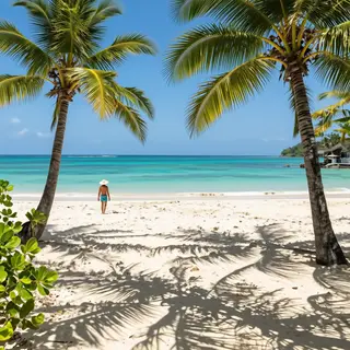 A tropical beach scene with no people