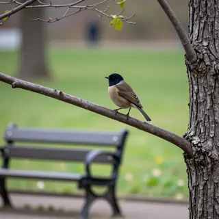 A bird perched on a branch, the branch extending from a tree