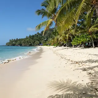 A tropical beach scene with no people