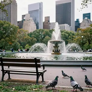 A city park with a park bench and pigeons in the foreground,