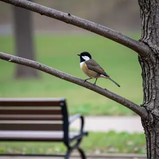 A bird perched on a branch, the branch extending from a tree