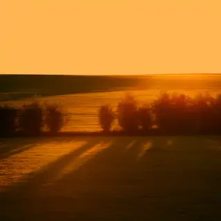 A landscape photograph bathed in golden hour light — long wa