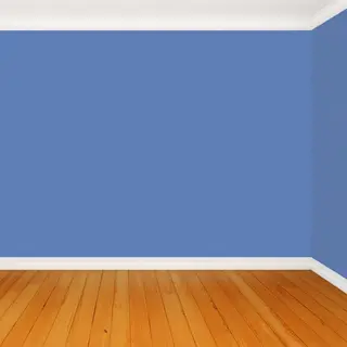 A room with walls in #4A90D9 (medium blue) with warm wooden 