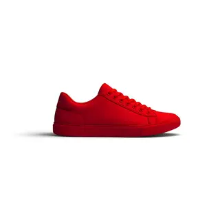 A single red sneaker on a clean white background with soft s