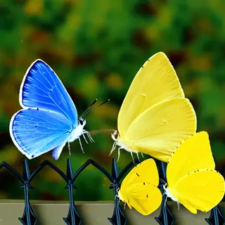 1 blue butterfly and 3 yellow butterflies resting on a garde