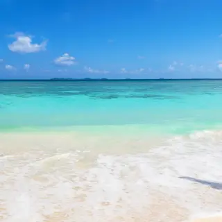 A tropical beach scene with no people