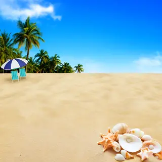 A sandy beach with palm trees, seashells, and a beach umbrel