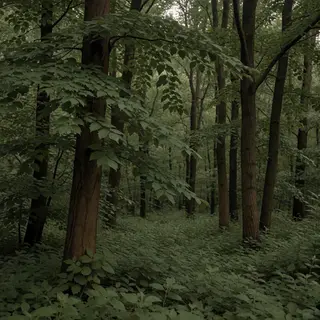 A forest scene where the foliage is precisely #2D5F2D (dark 