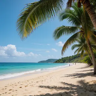 A tropical beach scene with no people