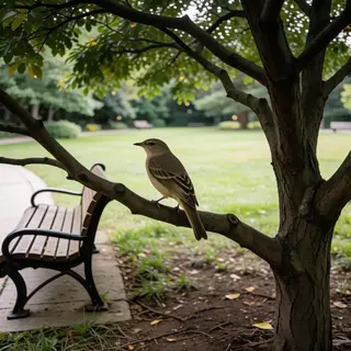 A bird perched on a branch, the branch extending from a tree